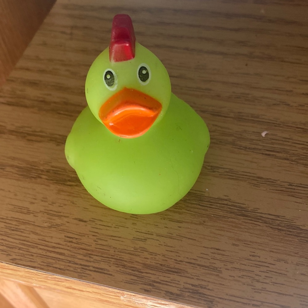 Green punk rubber duck